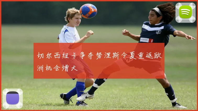切尔西纽卡争夺努涅斯今夏重返欧洲机会增大